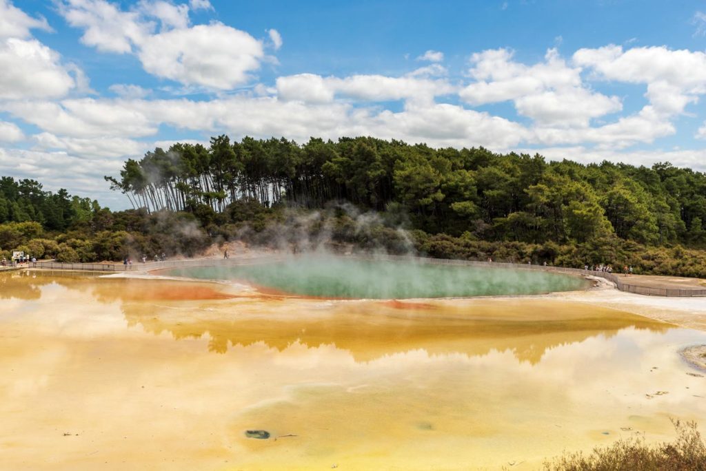 Séjour de 15 jours en Nouvelle-Zélande : explorez l’Île du Nord 9 Vibrant geothermal pool with steam in lush green forest under blue skies.