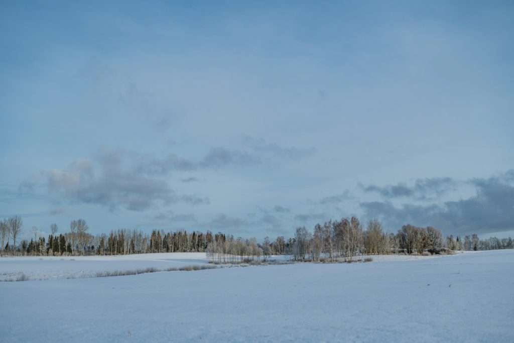a snow covered field with trees in the distance