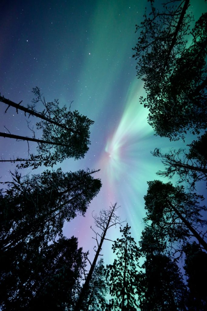 A green and purple aurora bore in the night sky