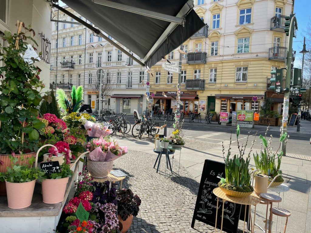 A bunch of potted plants on a sidewalk