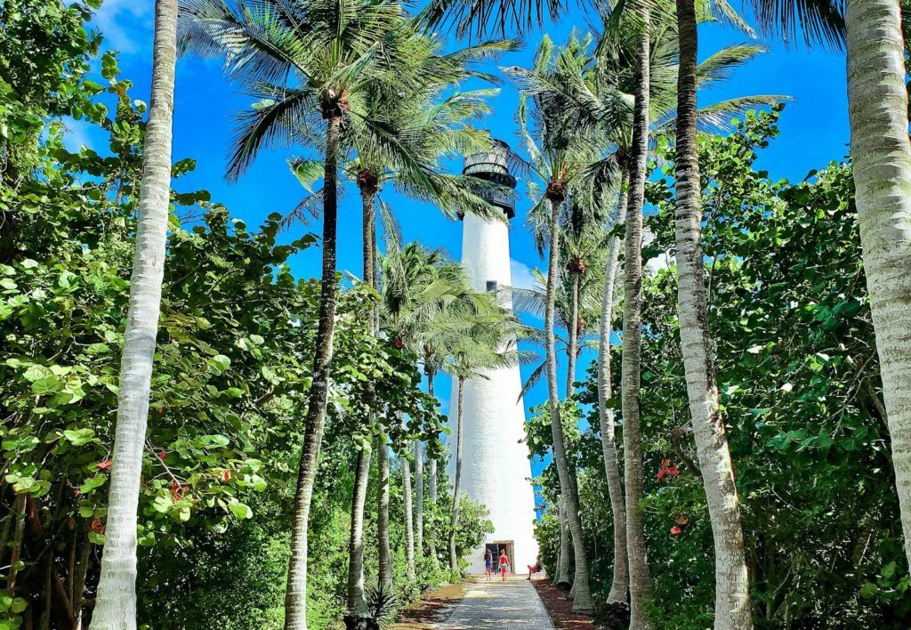 a white light house surrounded by palm trees